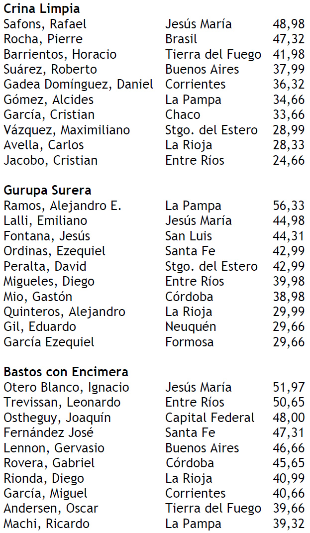 Puntajes jineteada 17-01