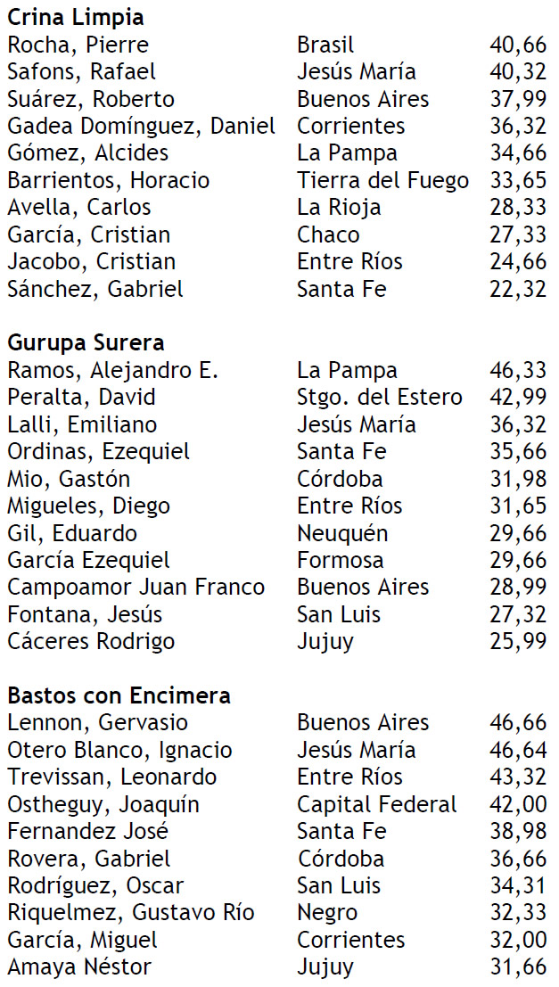 Puntajes jineteada 16-01