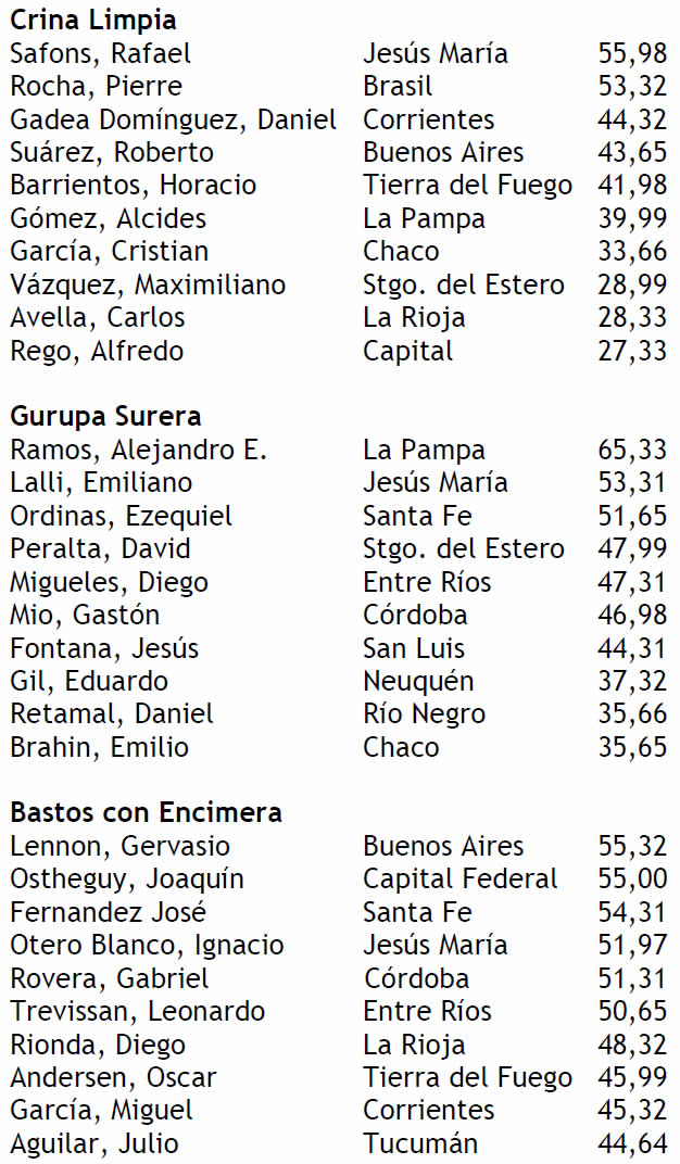 Puntajes jineteada 19-01