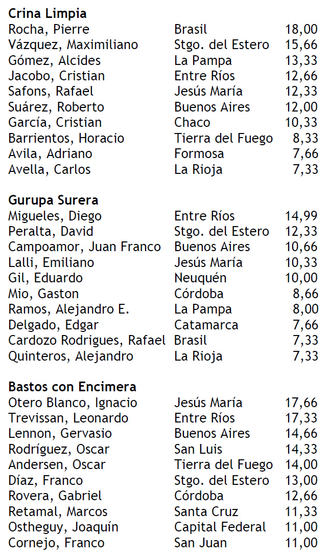Puntajes jineteada 11-01