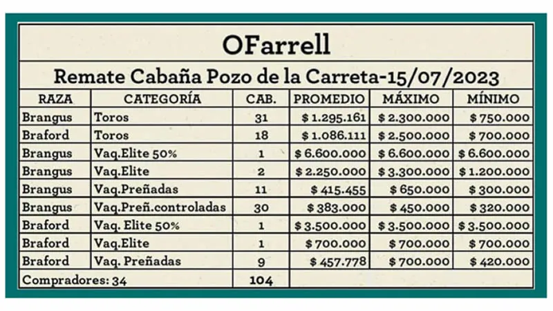 Remate Pozo de la Carreta 2