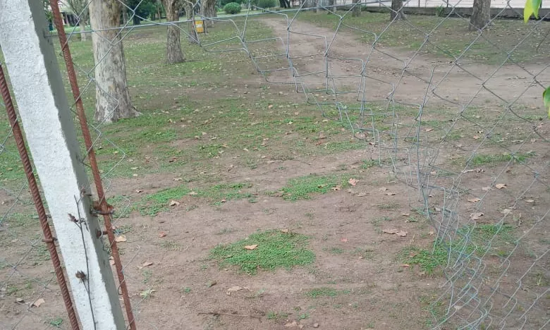 WhatsApp Image 2023-04-06 at 09.32.13(2)