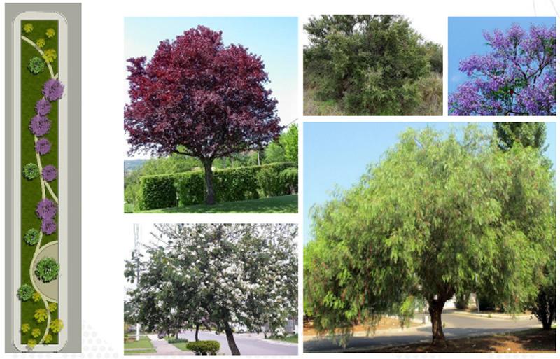 Plaza Loteo Don Rafael