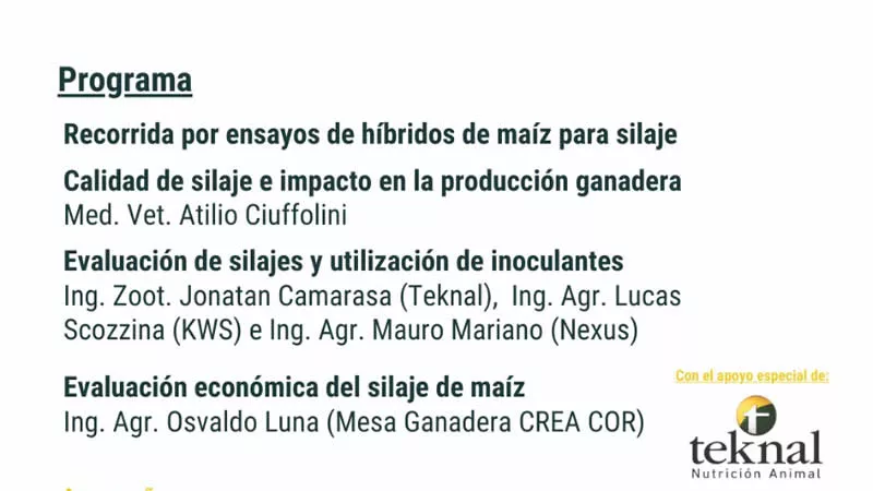 Programa CREA