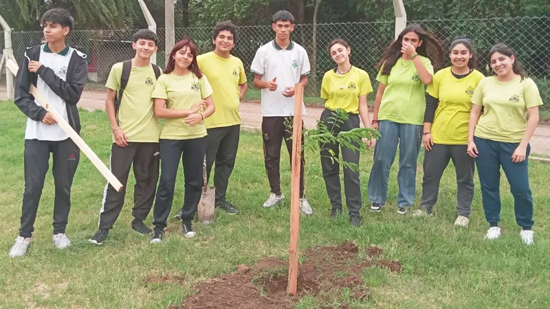 Plantación de árboles en IPET 412