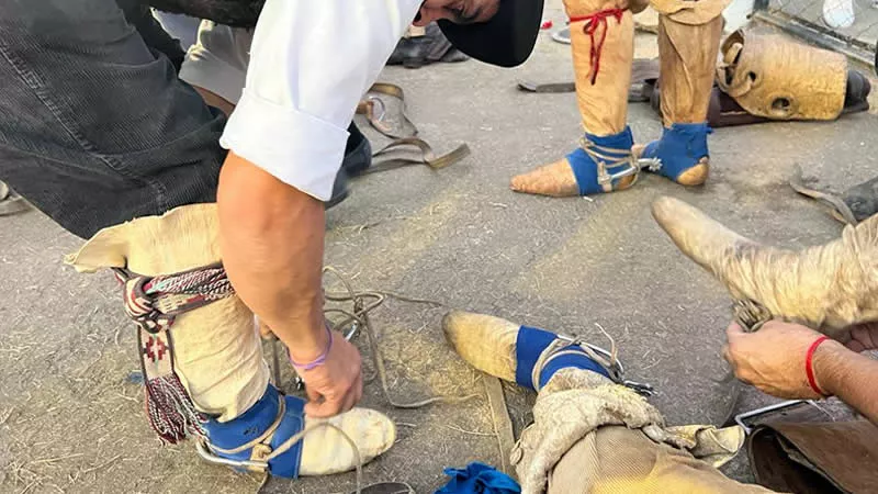 Preparativo de jinetes