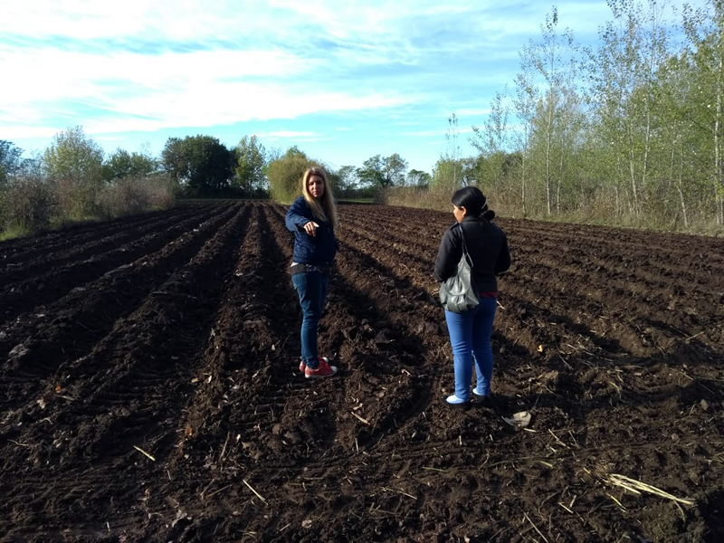 Jornada a Campo