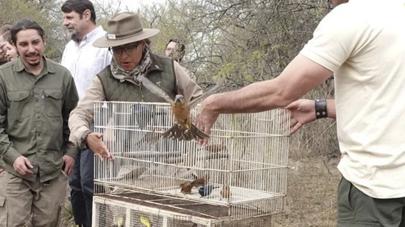 Liberación de aves