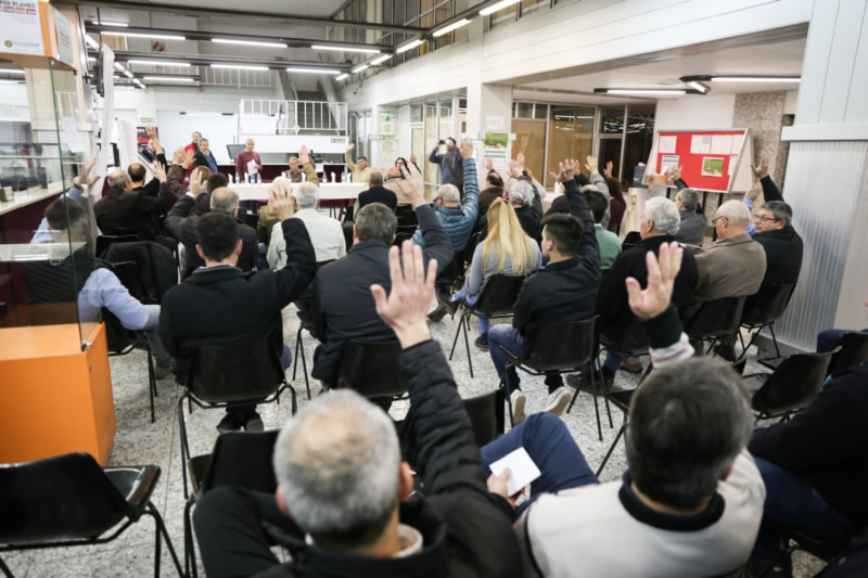 Asamblea