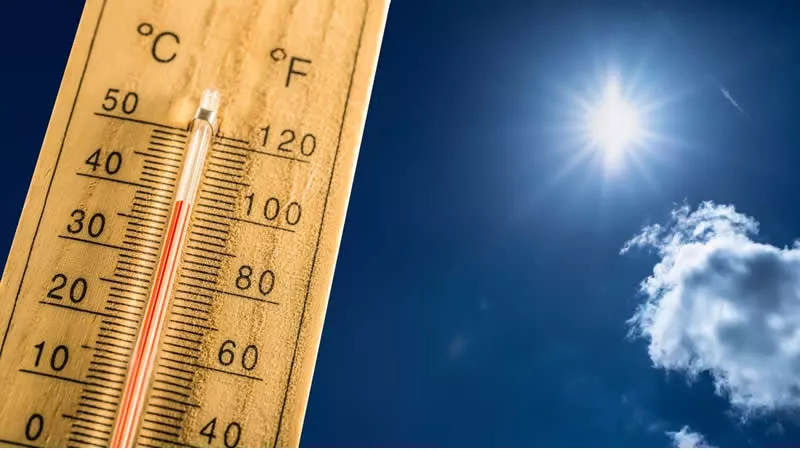Calor