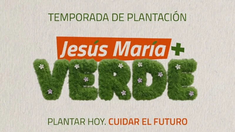 JM + Verde