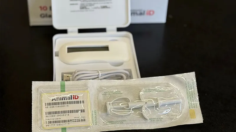 Microchips para perros 2