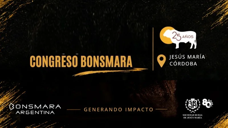 Congreso Bonsmara