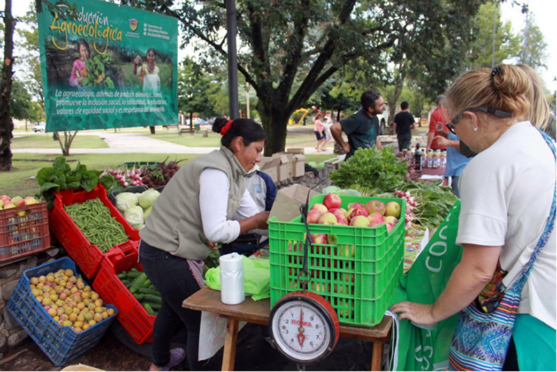Feria Agroecológica