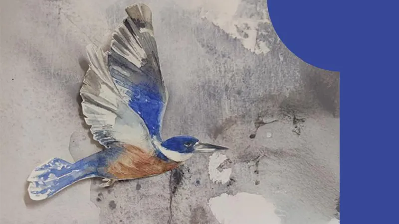 La magia de los pájaros