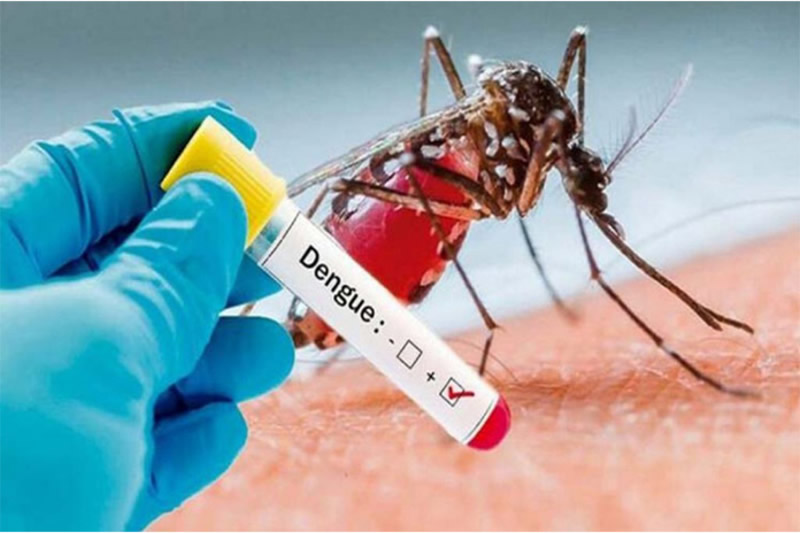 Dengue positivo