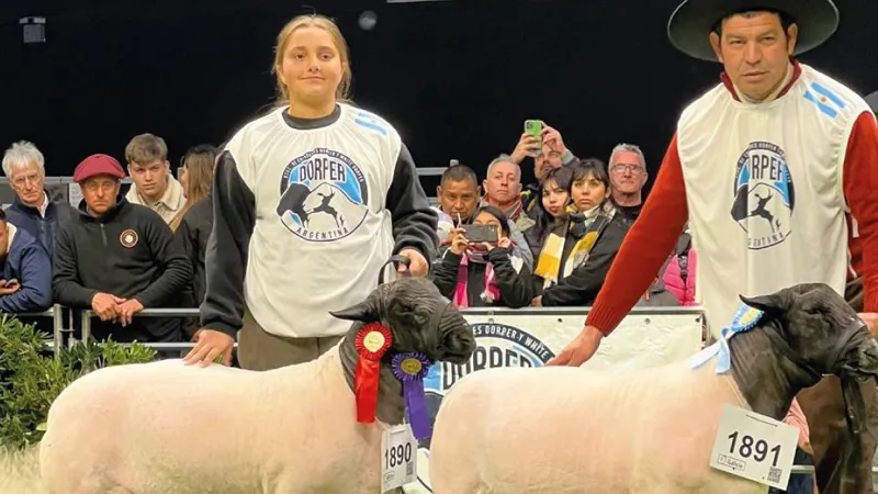 Premios Cuatro Reinas