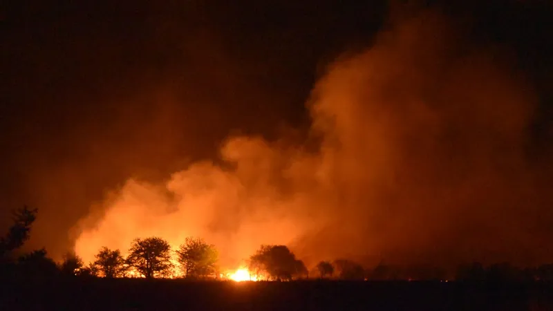 Incendio río Carnero