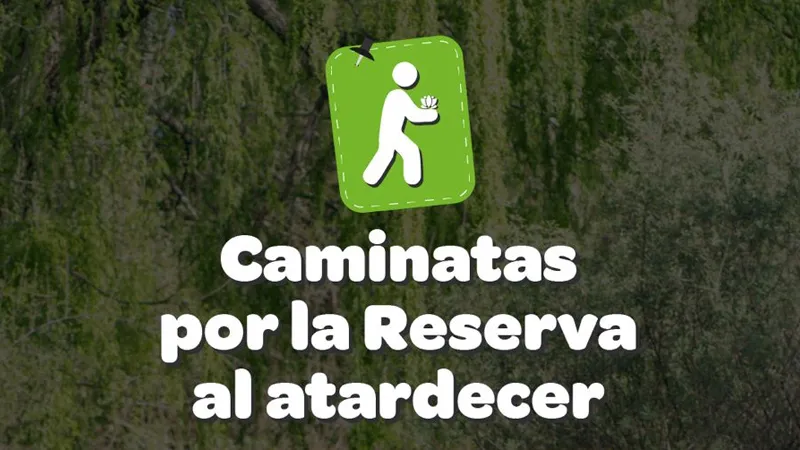 Caminatas al atardecer