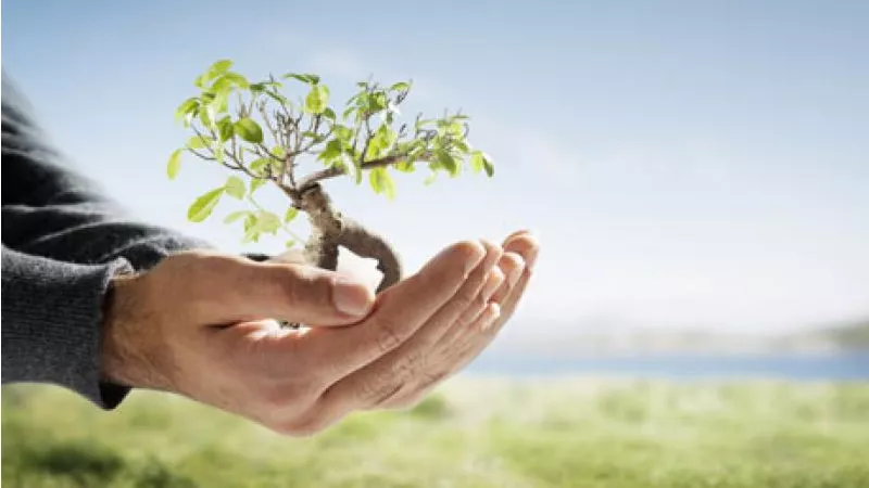 Medio Ambiente