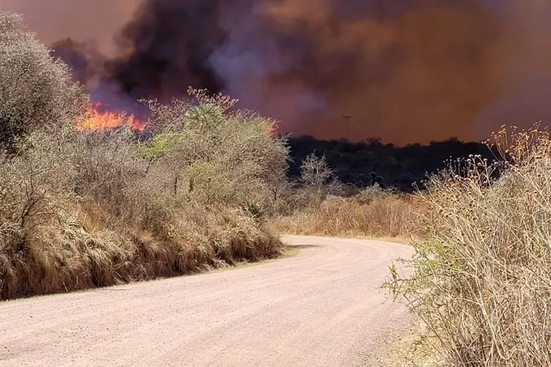 Incendio en La Granja