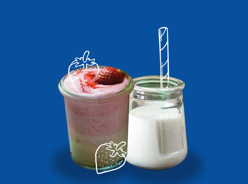 Alimentos Probióticos