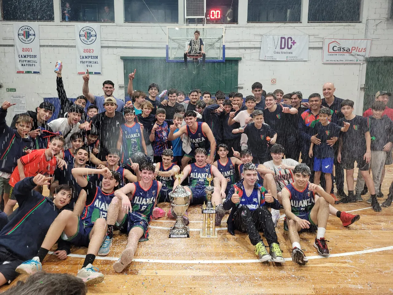 Ascenso de Alianza