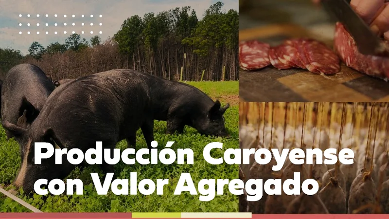 Producción caroyense con valor agregado