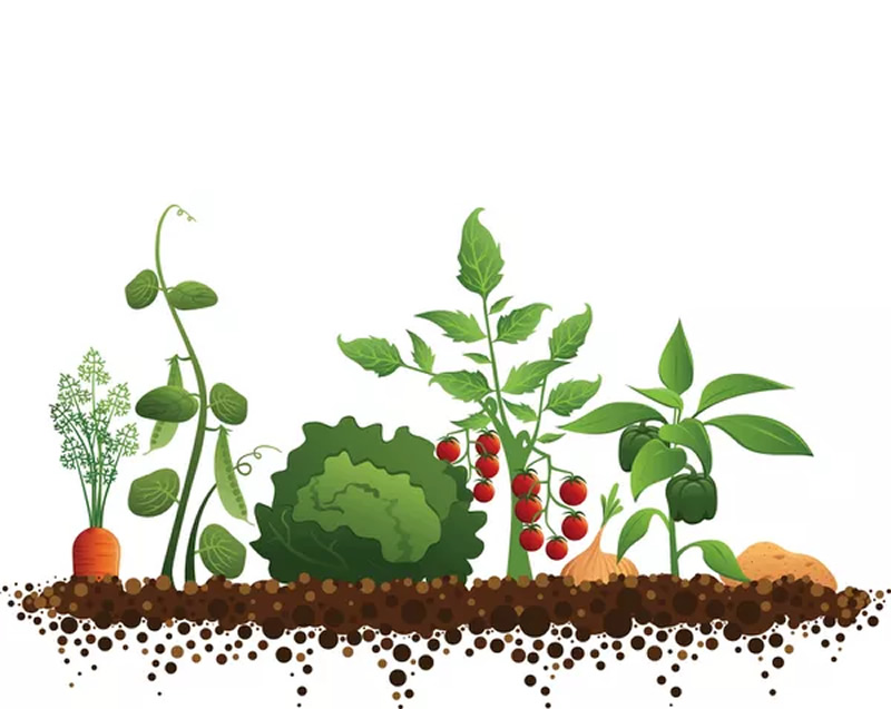 Agroecología