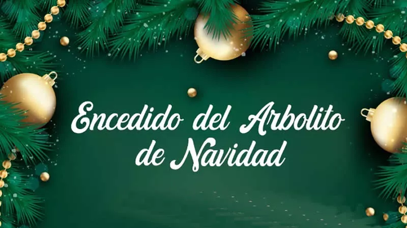 Encendido del Arbolito de Navidad