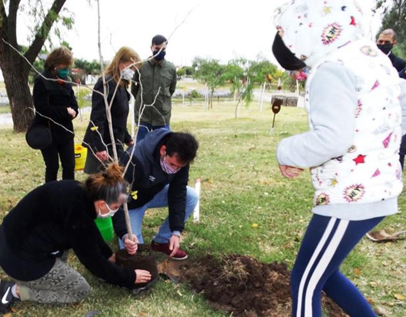 Día de la Donación de Organos
