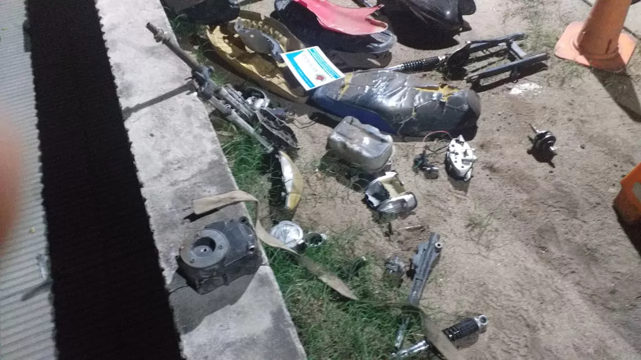 WhatsApp Image 2023-04-25 at 08.22.30