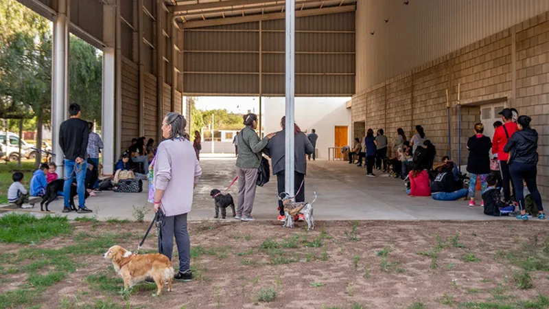 Jornada de castraciones