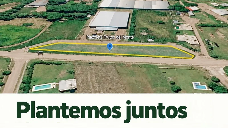 Plantemos juntos