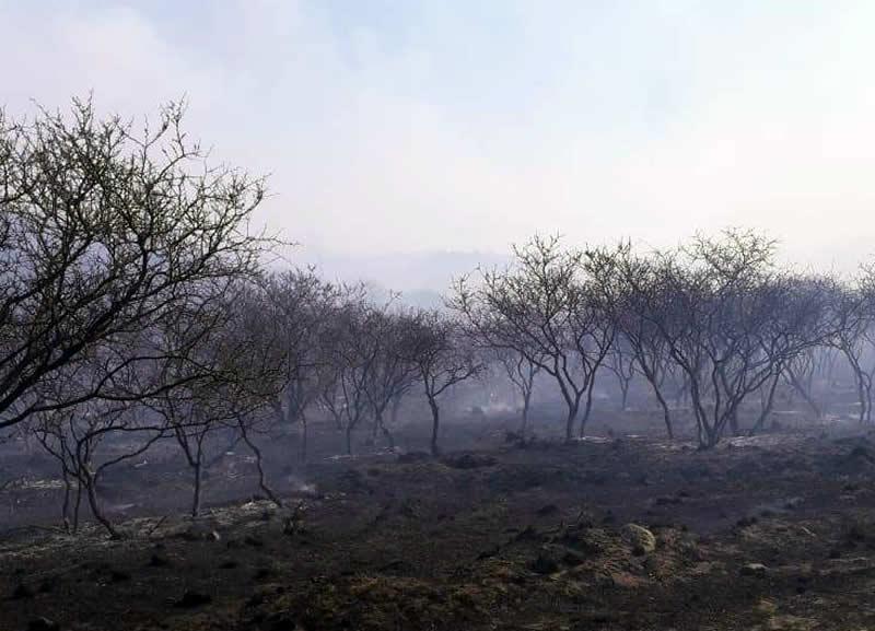 Incendio en Villa Albertina