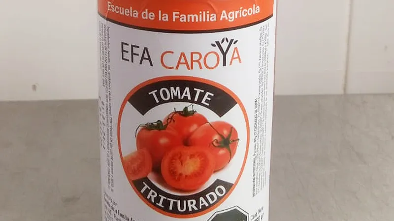Tomate triturado EFA