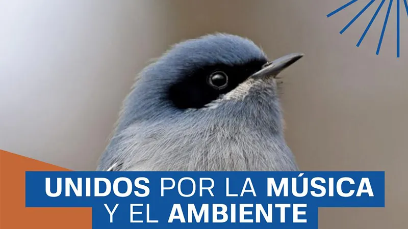 Unidos por la música