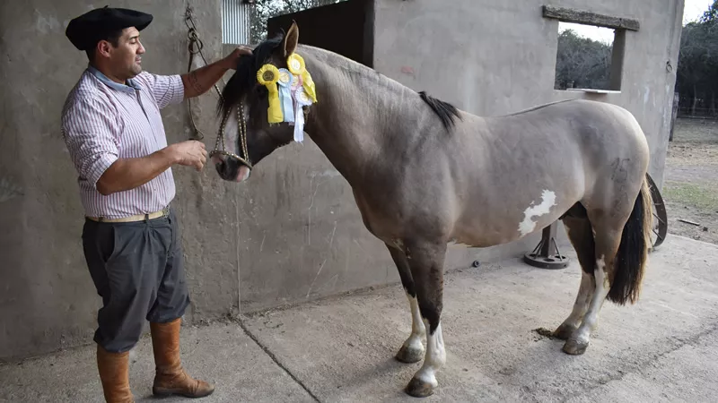 Padrillo ganador en Palermo
