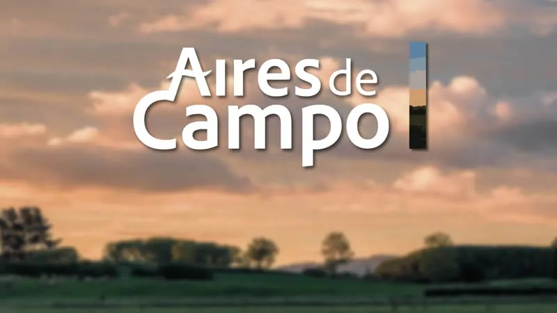 Aires de Campo
