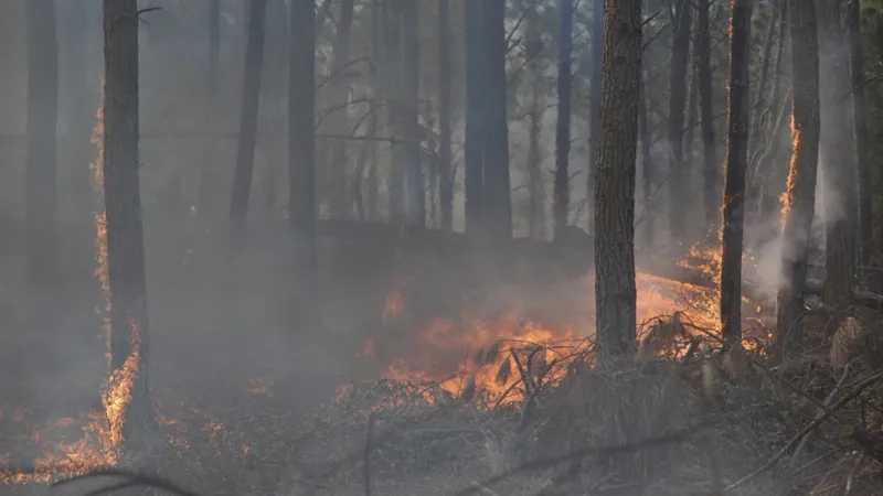 Prevención de incendios
