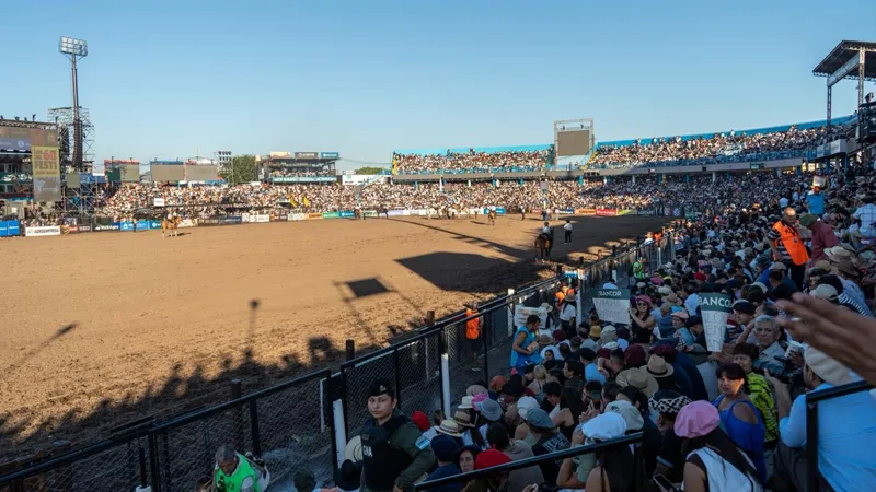 Anfiteatro lleno 2026