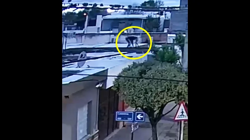 Ladrón en techos
