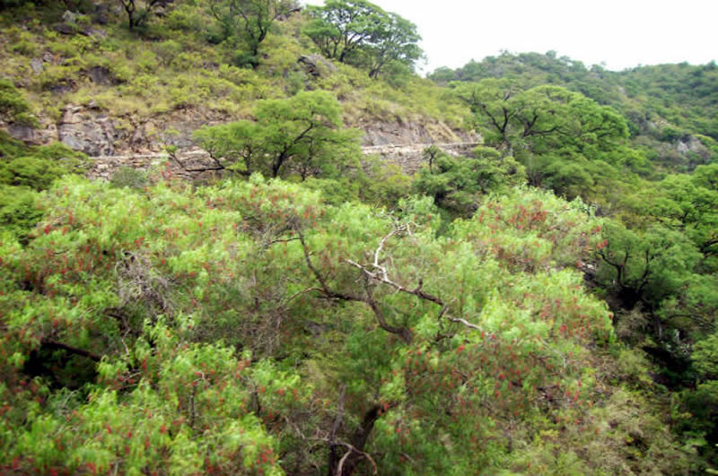 Sierras de Cuniputo o El Perchel Ñire