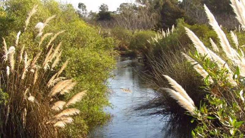 Río Chicuil