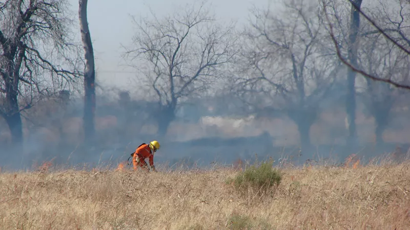 Incendio rural