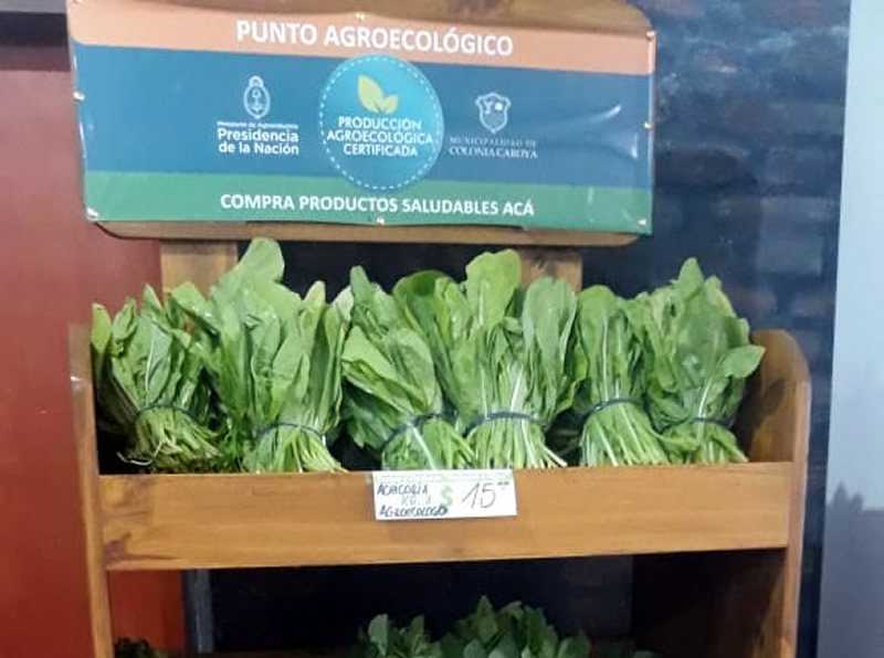 Punto Agroecológico CC 2