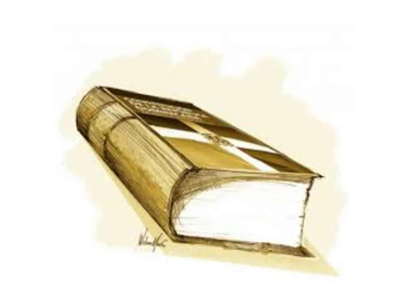 Fundamentación jurídica