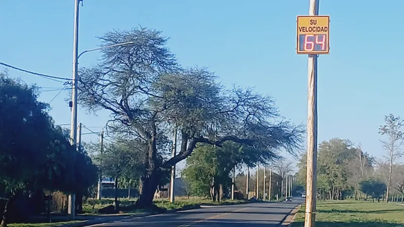 Medidor de velocidad