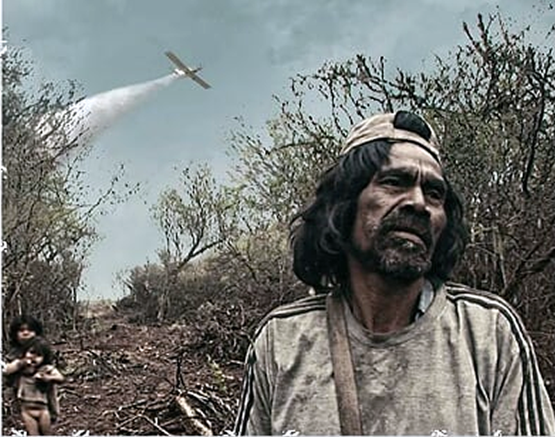 Viaje a los pueblos fumigados