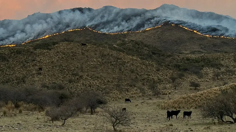 Incendio en las sierras